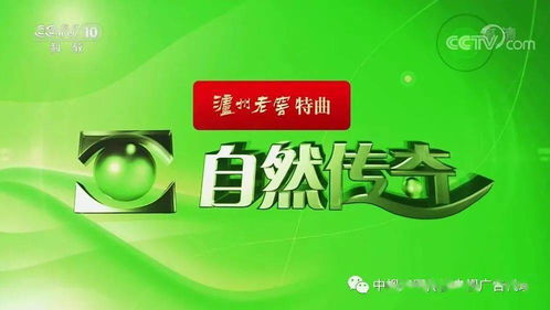 建材行業央視廣告投放策略及專業代理服務解析